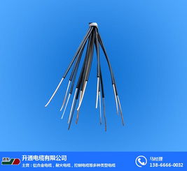 控制电缆选购指南 为何升通电缆与铜陵控制电缆备受关注